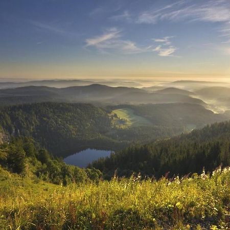 Waldloft Titisee Titisee-Neustadt Exterior foto