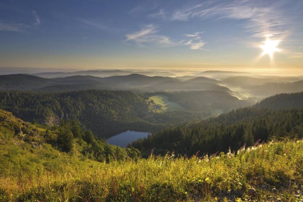 Waldloft Titisee Titisee-Neustadt Exterior foto