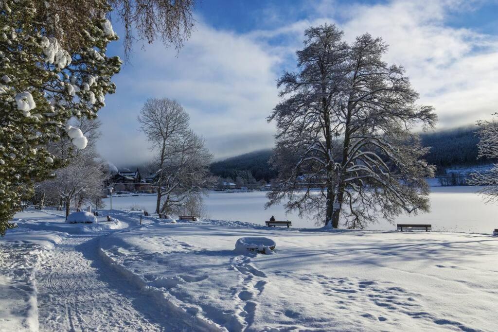 Waldloft Titisee Titisee-Neustadt Exterior foto