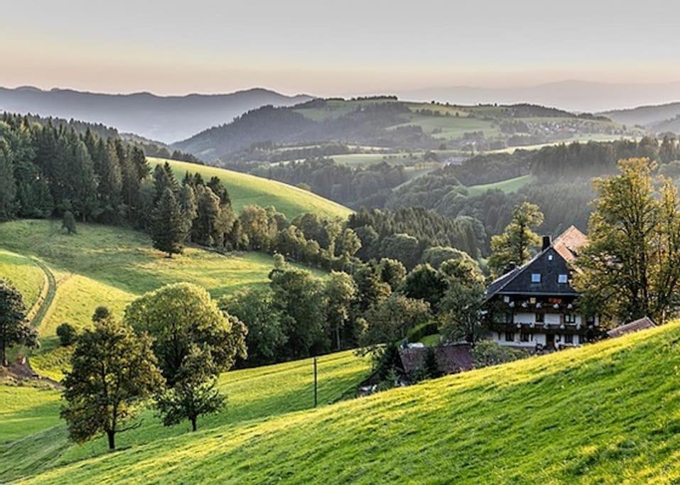 Waldloft Titisee Titisee-Neustadt Exterior foto