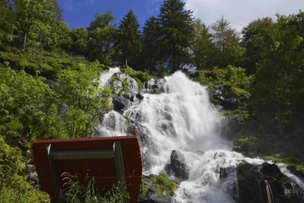 Waldloft Titisee Titisee-Neustadt Exterior foto